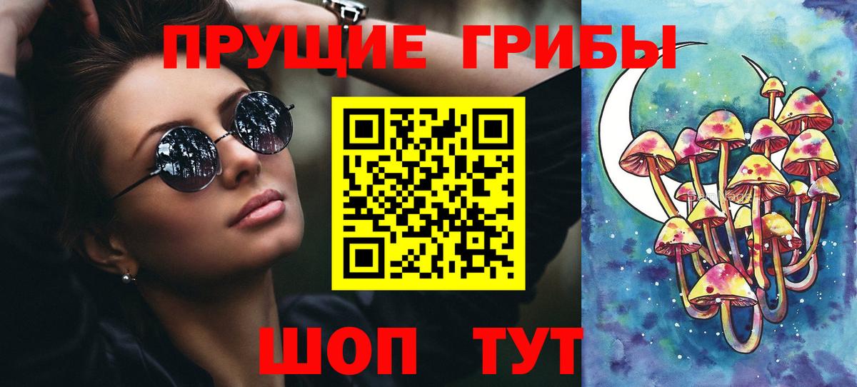 Бузулук  где найти   Вход с VPN  Псилоцибиновые грибы ЛСД  Псилоцибиновые грибы Cubensis 